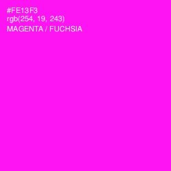 #FE13F3 - Magenta / Fuchsia Color Image