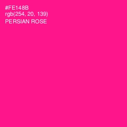 #FE148B - Persian Rose Color Image