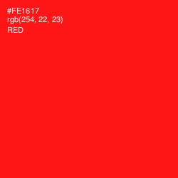 #FE1617 - Red Color Image