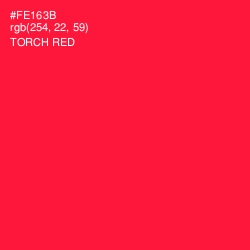 #FE163B - Torch Red Color Image