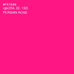 #FE1684 - Persian Rose Color Image
