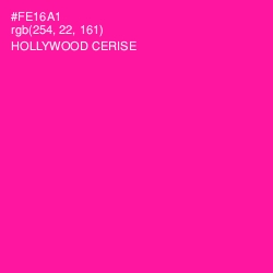 #FE16A1 - Hollywood Cerise Color Image