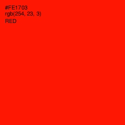 #FE1703 - Red Color Image