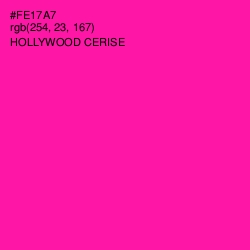 #FE17A7 - Hollywood Cerise Color Image