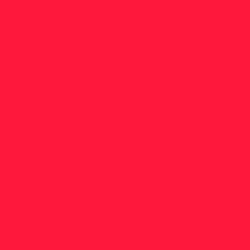 #FE183C - Torch Red Color Image