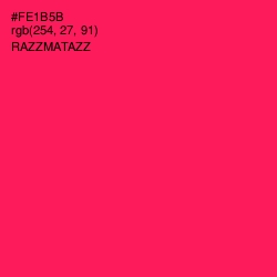 #FE1B5B - Razzmatazz Color Image