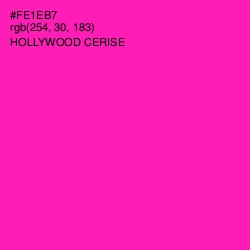 #FE1EB7 - Hollywood Cerise Color Image