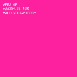 #FE219F - Wild Strawberry Color Image