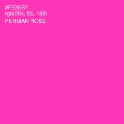 #FE35B7 - Persian Rose Color Image
