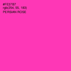 #FE37B7 - Persian Rose Color Image