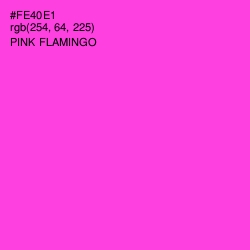 #FE40E1 - Pink Flamingo Color Image
