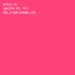 #FE4179 - Wild Watermelon Color Image