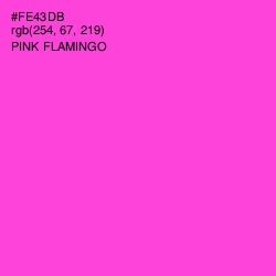 #FE43DB - Pink Flamingo Color Image
