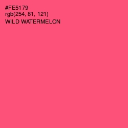 #FE5179 - Wild Watermelon Color Image