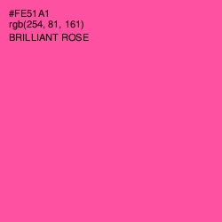 #FE51A1 - Brilliant Rose Color Image