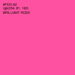 #FE51A2 - Brilliant Rose Color Image