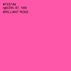 #FE57A9 - Brilliant Rose Color Image