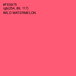 #FE5975 - Wild Watermelon Color Image