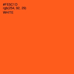 #FE5C1D - International Orange Color Image