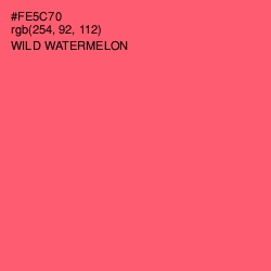 #FE5C70 - Wild Watermelon Color Image