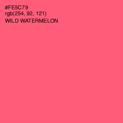 #FE5C79 - Wild Watermelon Color Image