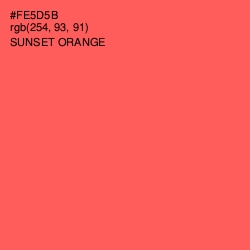 #FE5D5B - Sunset Orange Color Image
