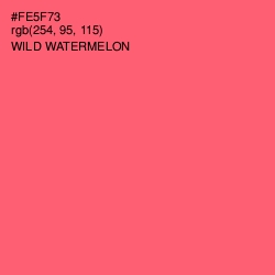 #FE5F73 - Wild Watermelon Color Image