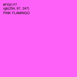 #FE61F7 - Pink Flamingo Color Image