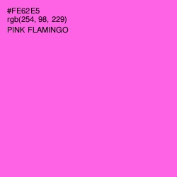 #FE62E5 - Pink Flamingo Color Image