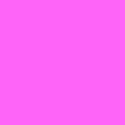 #FE64F8 - Pink Flamingo Color Image