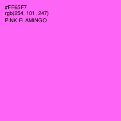 #FE65F7 - Pink Flamingo Color Image