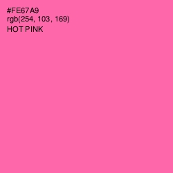 #FE67A9 - Hot Pink Color Image
