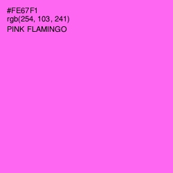 #FE67F1 - Pink Flamingo Color Image