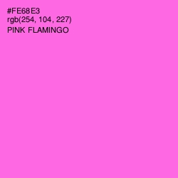 #FE68E3 - Pink Flamingo Color Image
