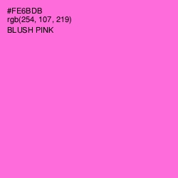 #FE6BDB - Blush Pink Color Image
