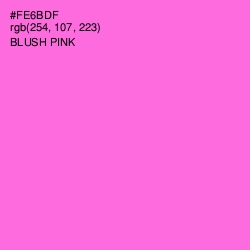 #FE6BDF - Blush Pink Color Image