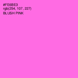 #FE6BE3 - Blush Pink Color Image