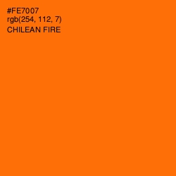 #FE7007 - Chilean Fire Color Image