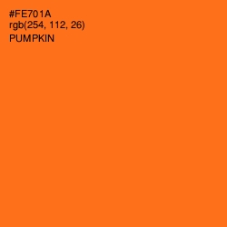 #FE701A - Pumpkin Color Image