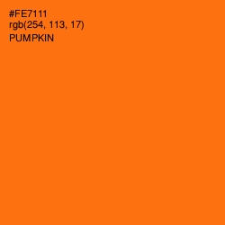 #FE7111 - Pumpkin Color Image