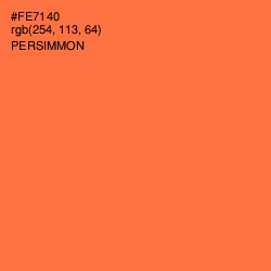 #FE7140 - Persimmon Color Image