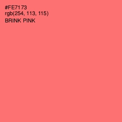 #FE7173 - Brink Pink Color Image