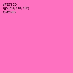 #FE71C0 - Orchid Color Image
