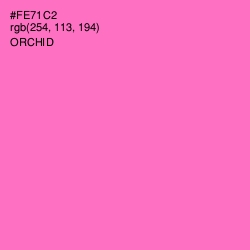 #FE71C2 - Orchid Color Image