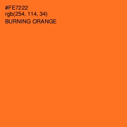 #FE7222 - Burning Orange Color Image