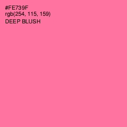 #FE739F - Deep Blush Color Image