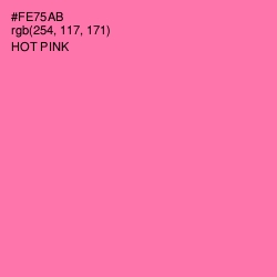 #FE75AB - Hot Pink Color Image