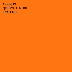 #FE7612 - Ecstasy Color Image