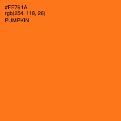 #FE761A - Pumpkin Color Image