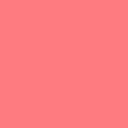 #FE7B7F - Brink Pink Color Image